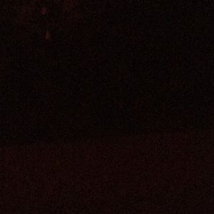 Meet your Posher, Charlie